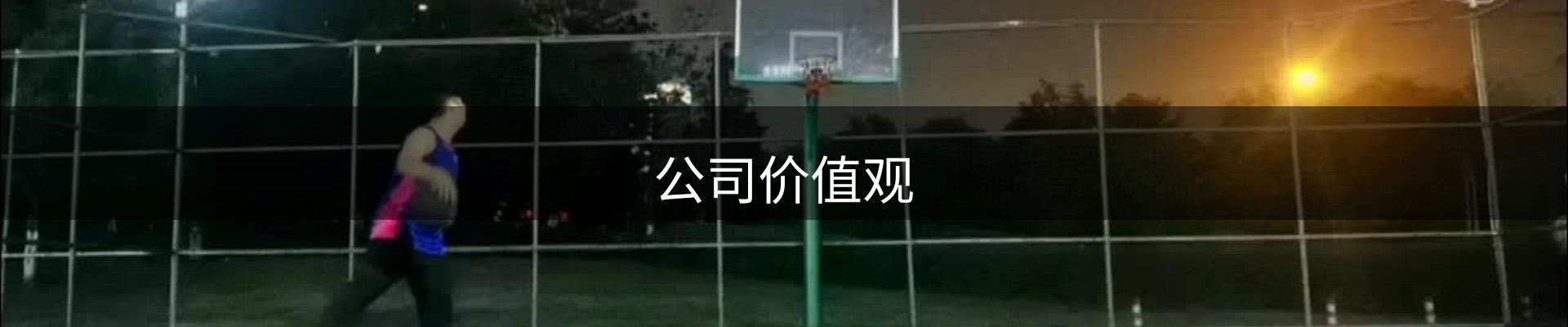 公司价值观